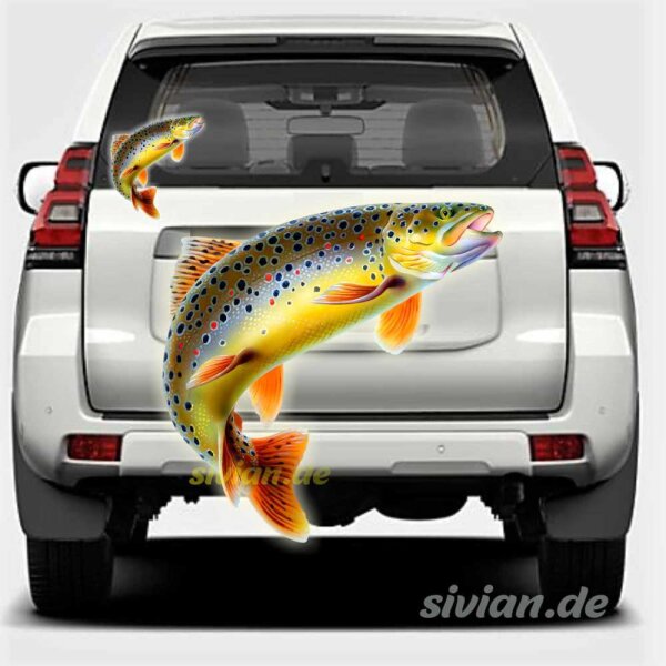 Forelle Fisch