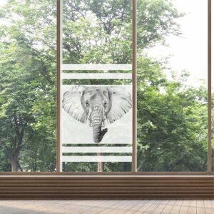 Fenster Sichtschutz Elefant Milchglasfolie