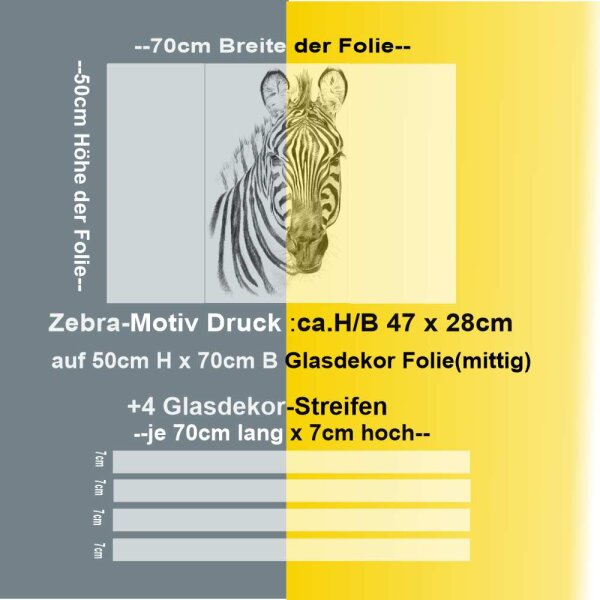 Fenster Sichtschutz Zebra Milchglasfolie