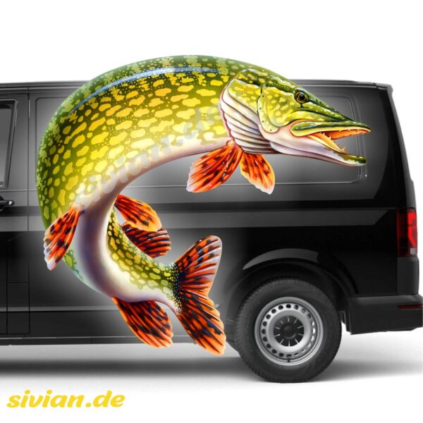 Hecht Fisch Angler