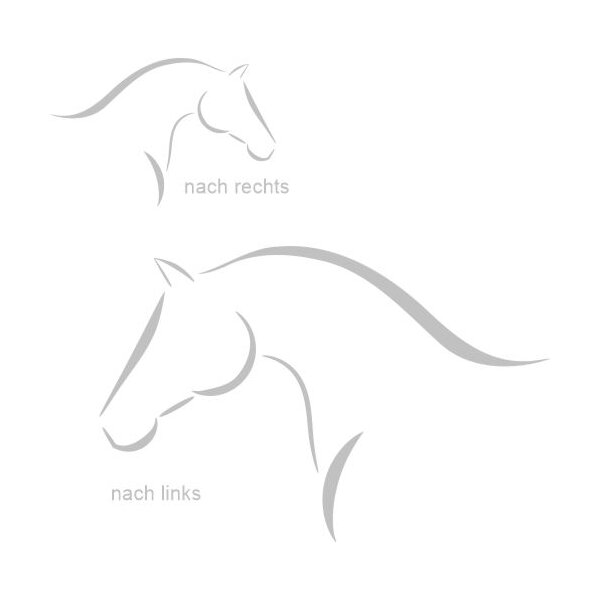 Aufkleber Pferde Silhouette 50 cm x 32 cm-silbergrau /metallic-nach rechts guckend